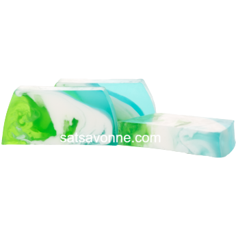 MENTHE FRAÎCHE