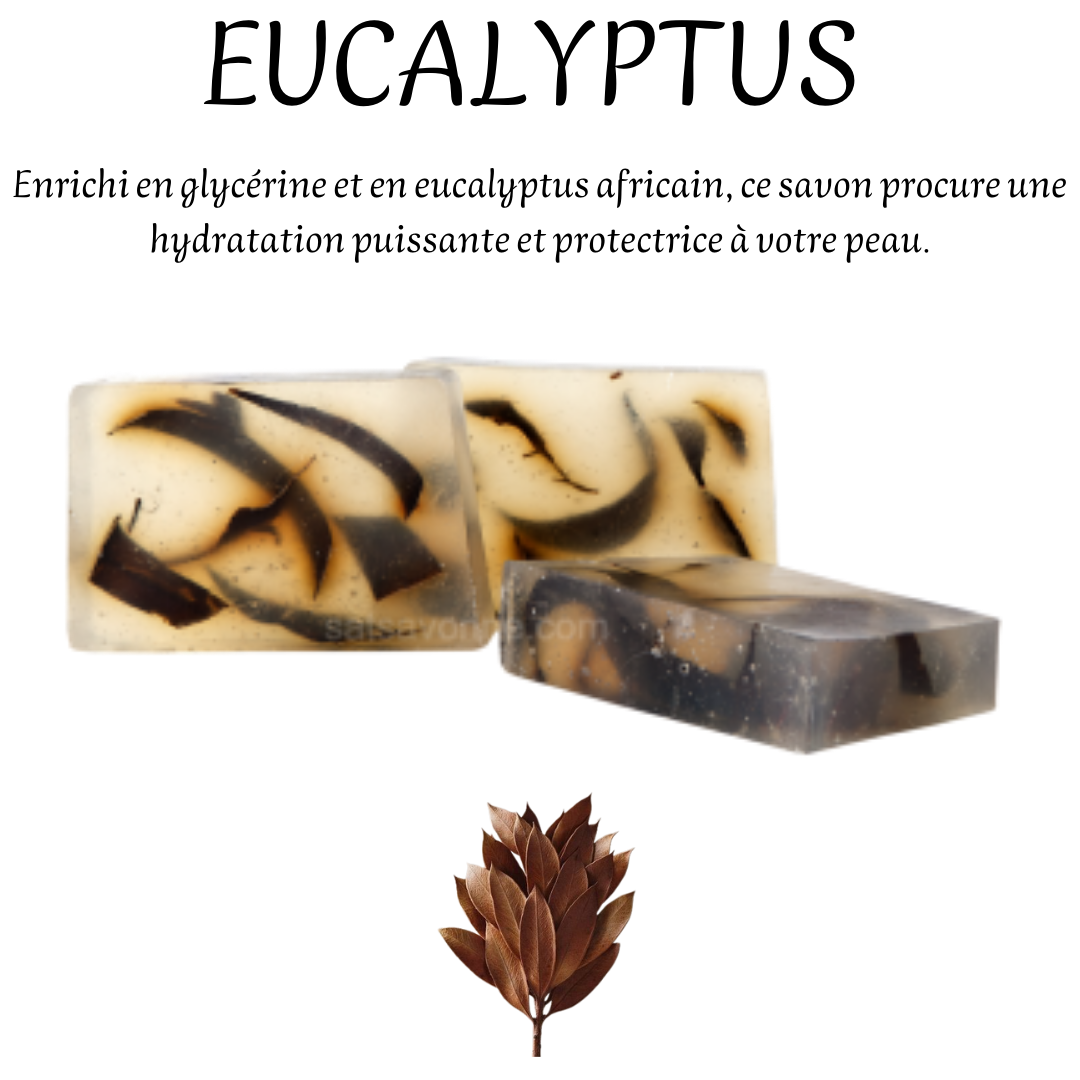 EUCALYPTUS