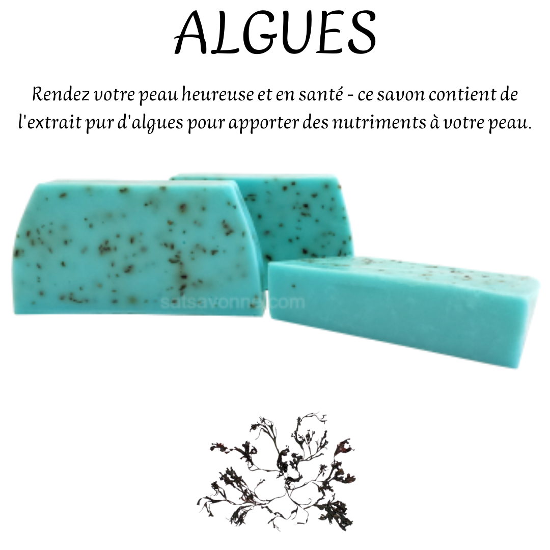 ALGUES