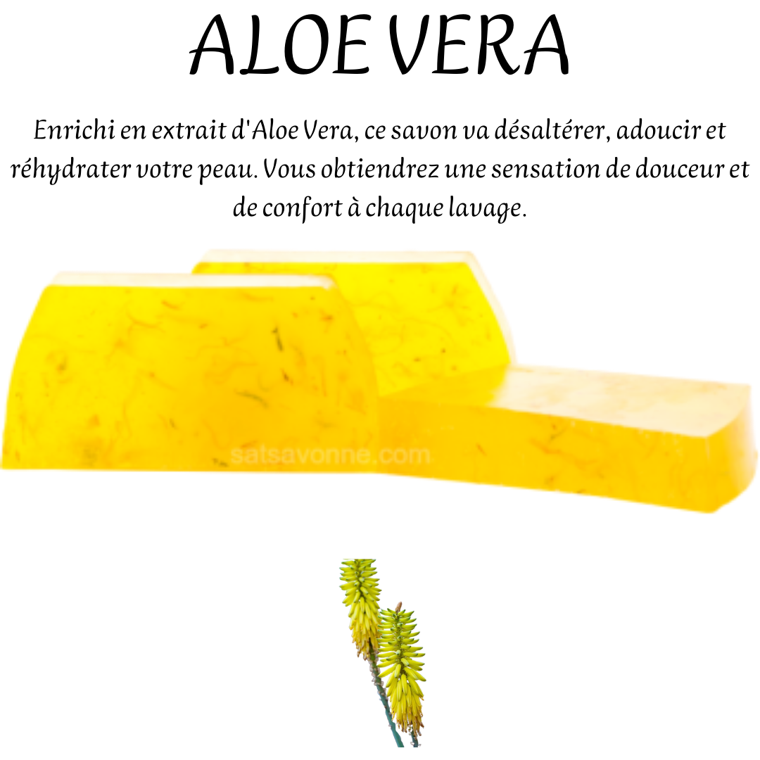 ALOE VERA