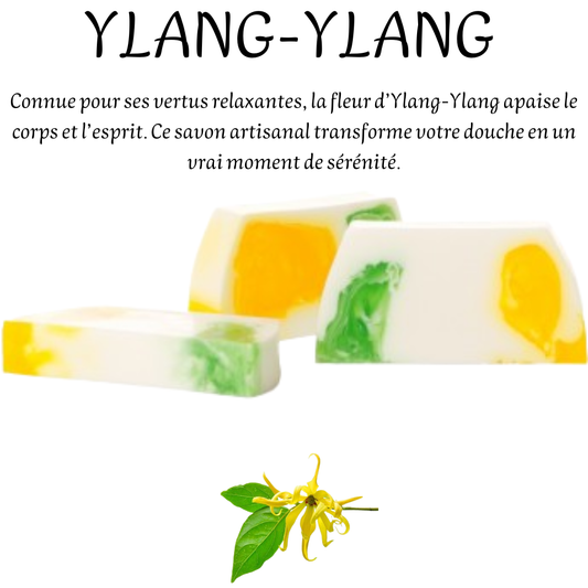 YLANG-YLANG
