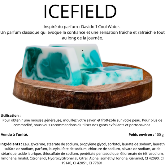 13 ICEFIELD