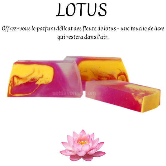 LOTUS