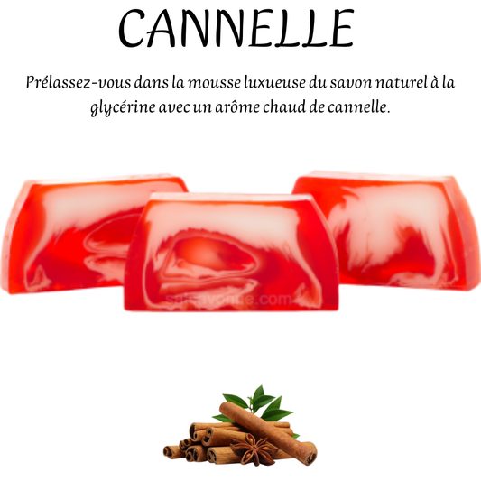 CANNELLE