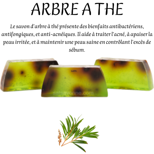 ARBRE A THE