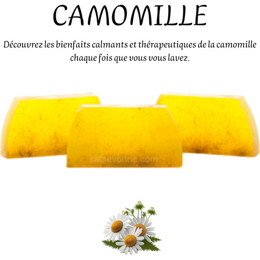 CAMOMILLE