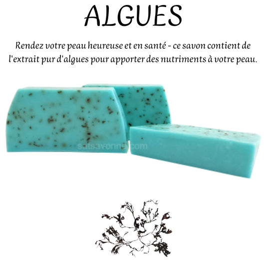 ALGUES