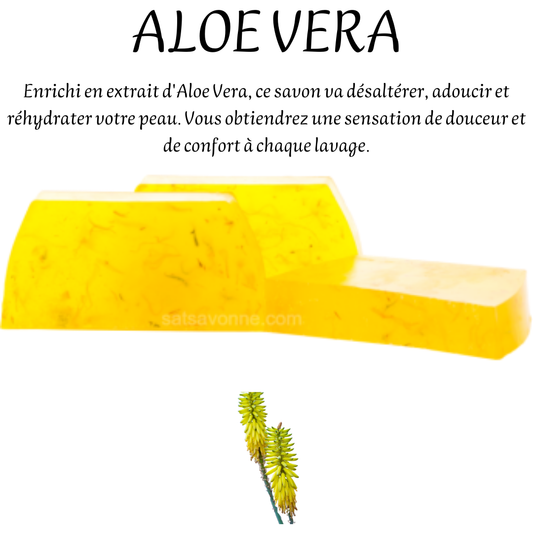 ALOE VERA